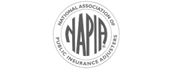 Napia gray